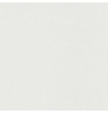 Пластик Lemark 0006 SH (матовый) 3050*1300*0.6 LM0006SH