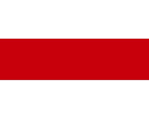 Кромка SHGL/PVC Rehau 1,0*22 мм 62524 Красный (100м) P62524/скл.
