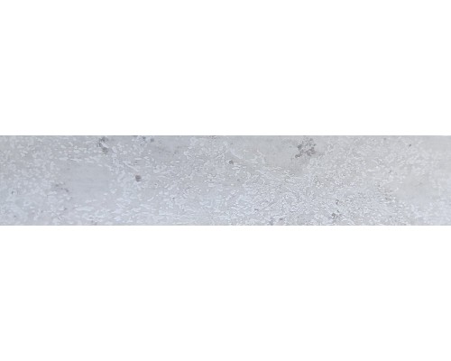 Кромка PVC Rehau 0,8*19 мм 500045S Цемент светлый (100м) 500045S/0,8 Кромка PVC Rehau 0,8*19 мм 500045S Цемент светлый (100м) 500045S/0,8