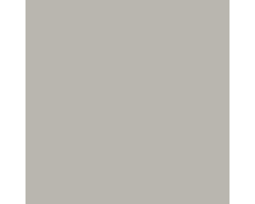 Пластик Arpa 0254 R (матовый) PF 3050*1300*0.6 Пластик Arpa 0254 R (матовый) PF 3050*1300*0.6