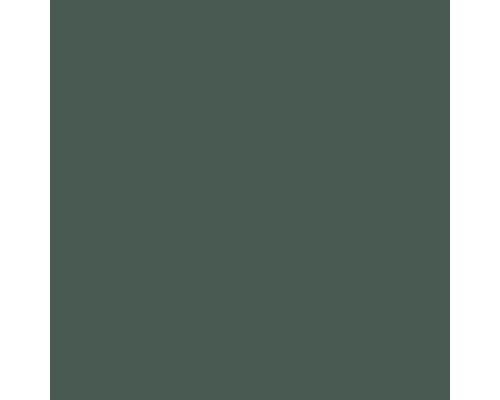 3050 Кромка AGT 3P 1*22мм, Leaf Green